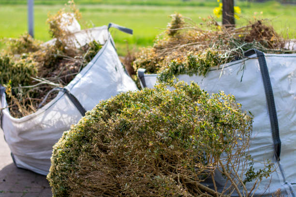 Shed Removal in Bon Secour, AL